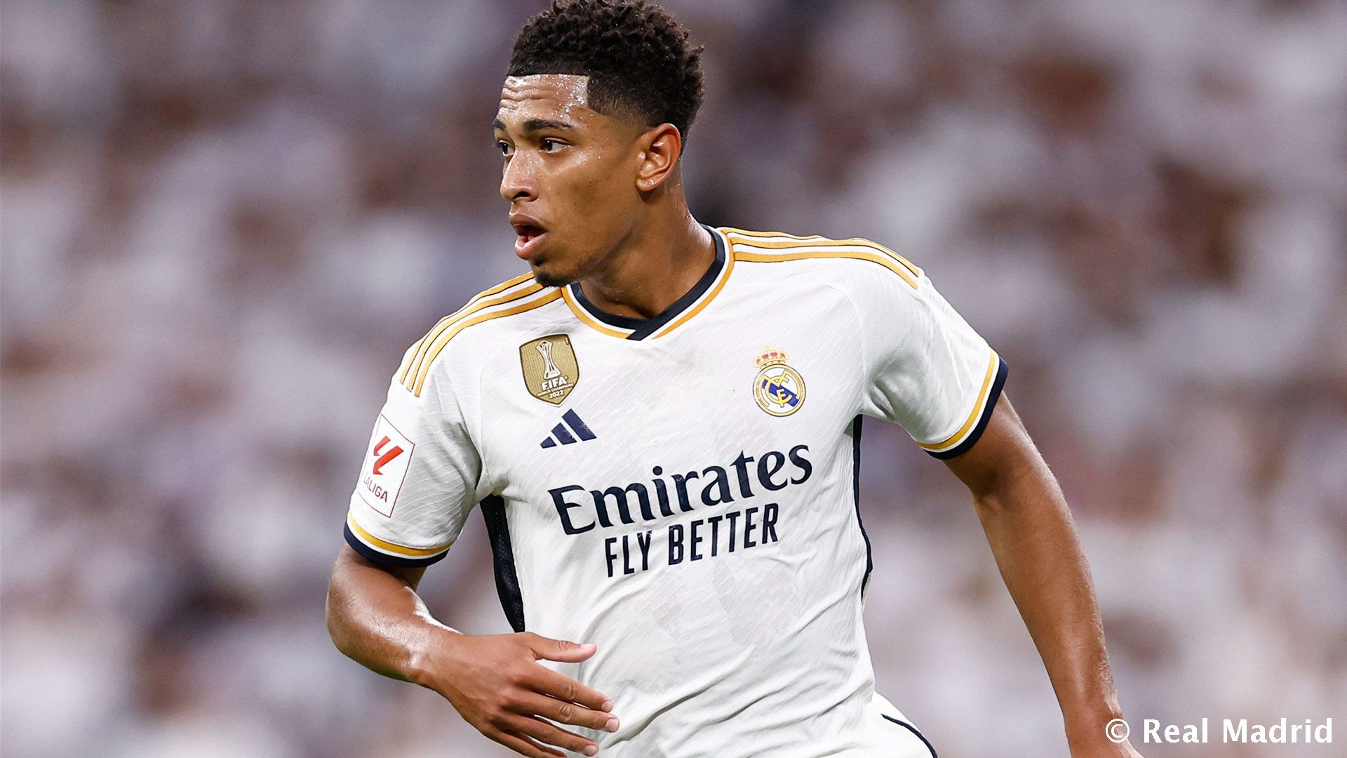 拜仁德甲前11轮拿到31分，追平历史同期最佳纪录